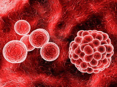 Cell子刊:新研究挑战现有的造血干细胞抗感染观点